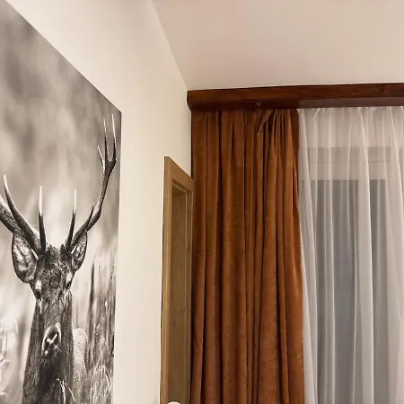 Apartment & Relax Skicircus